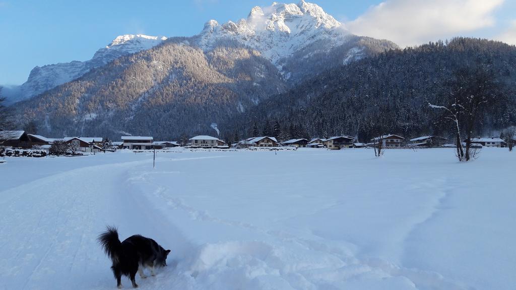 Familie Seiwald Appartement Waidring